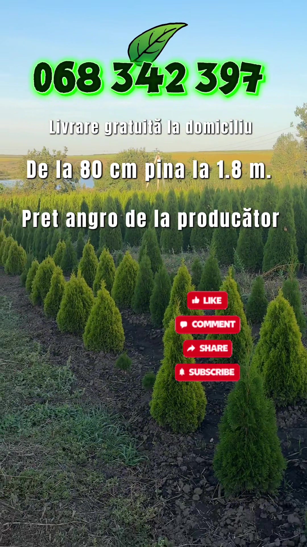 @Agro Terra