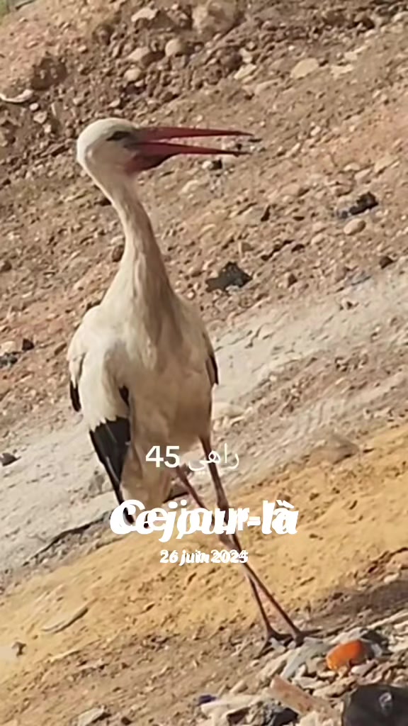 @Zaki Taibi758