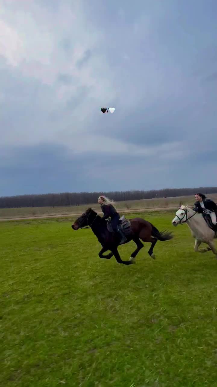 @ThunderGallops