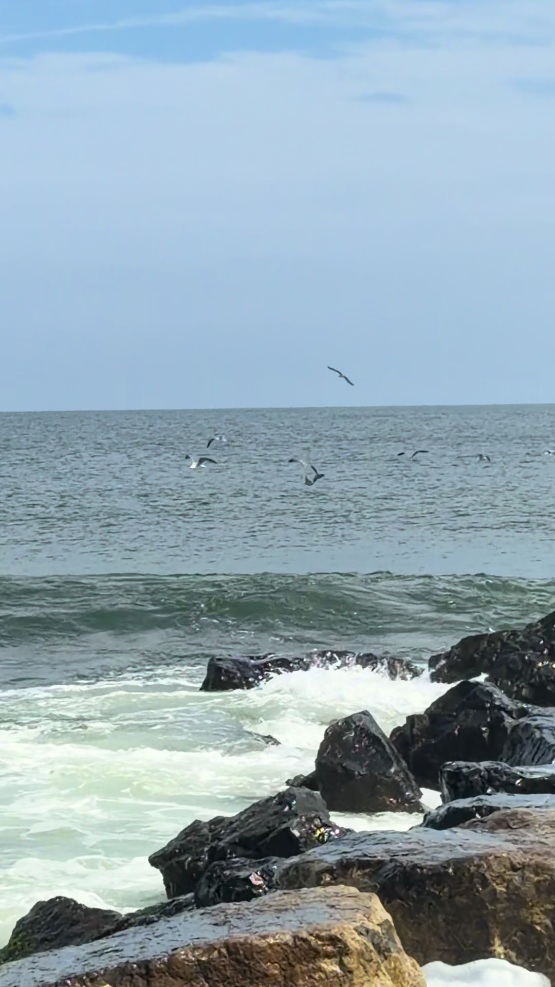 @SurfcastNJ Joe Gray
