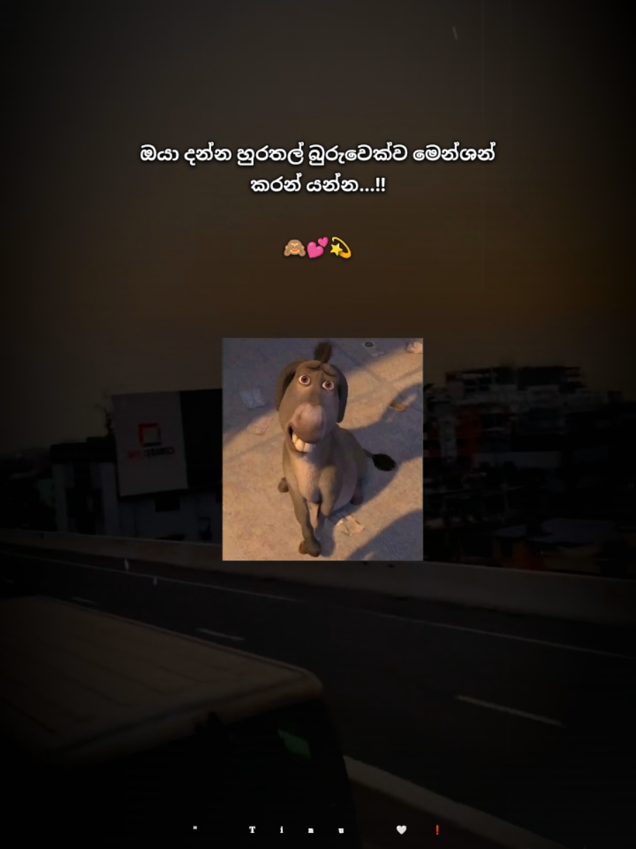 @" 𝐓𝐢𝐧𝐮 🤍❗
