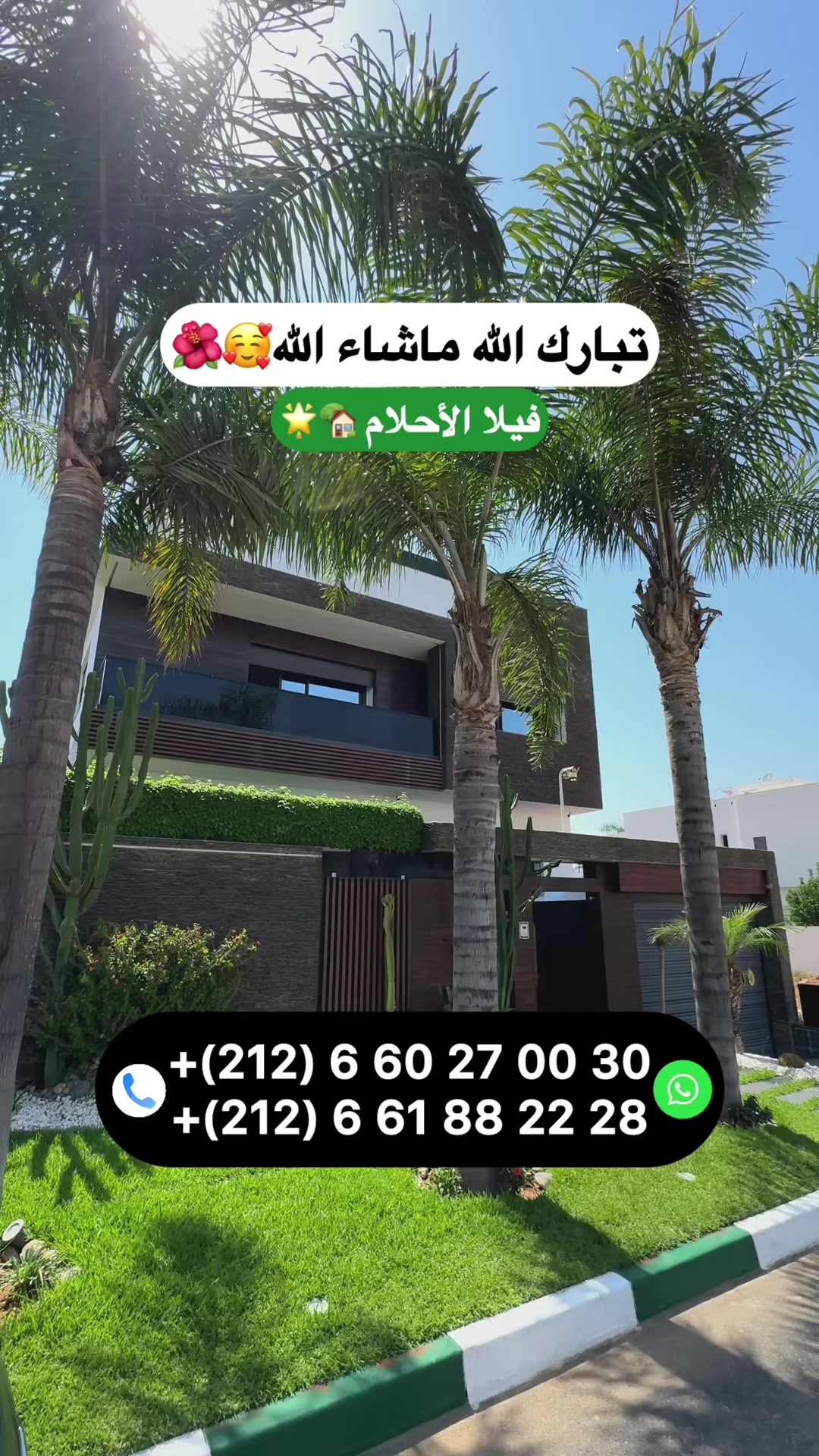 @Zakaria Haddad 🇲🇦🇵🇸