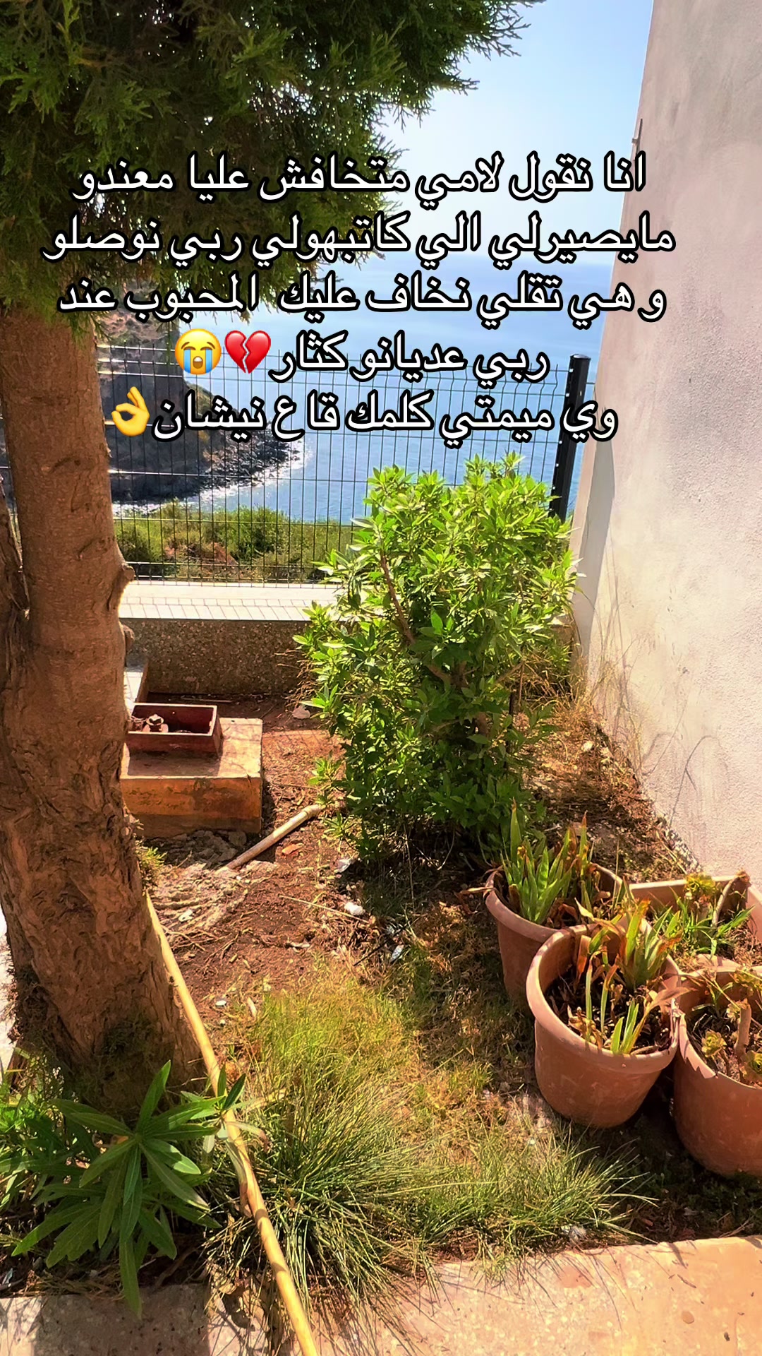 @nassimfar151