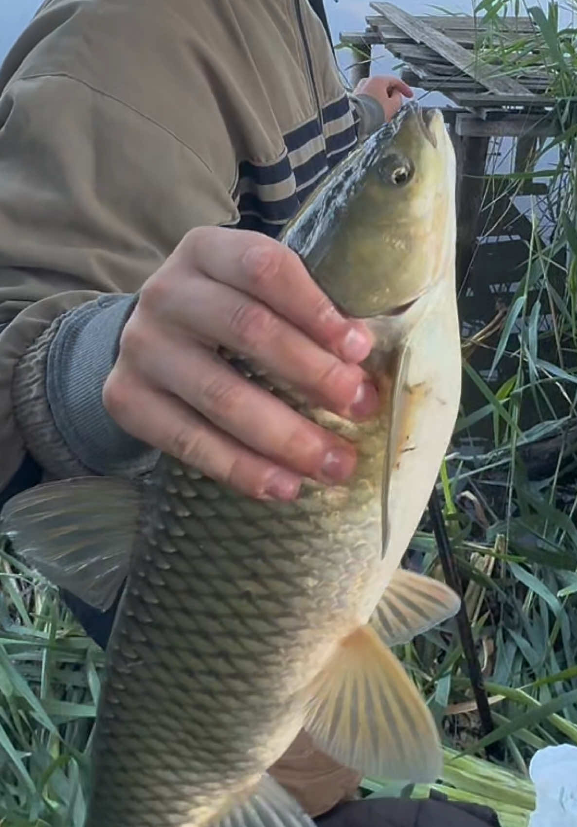 @𝗧𝗚.𝗗𝗬𝗫𝗙𝗜𝗦𝗛🎣