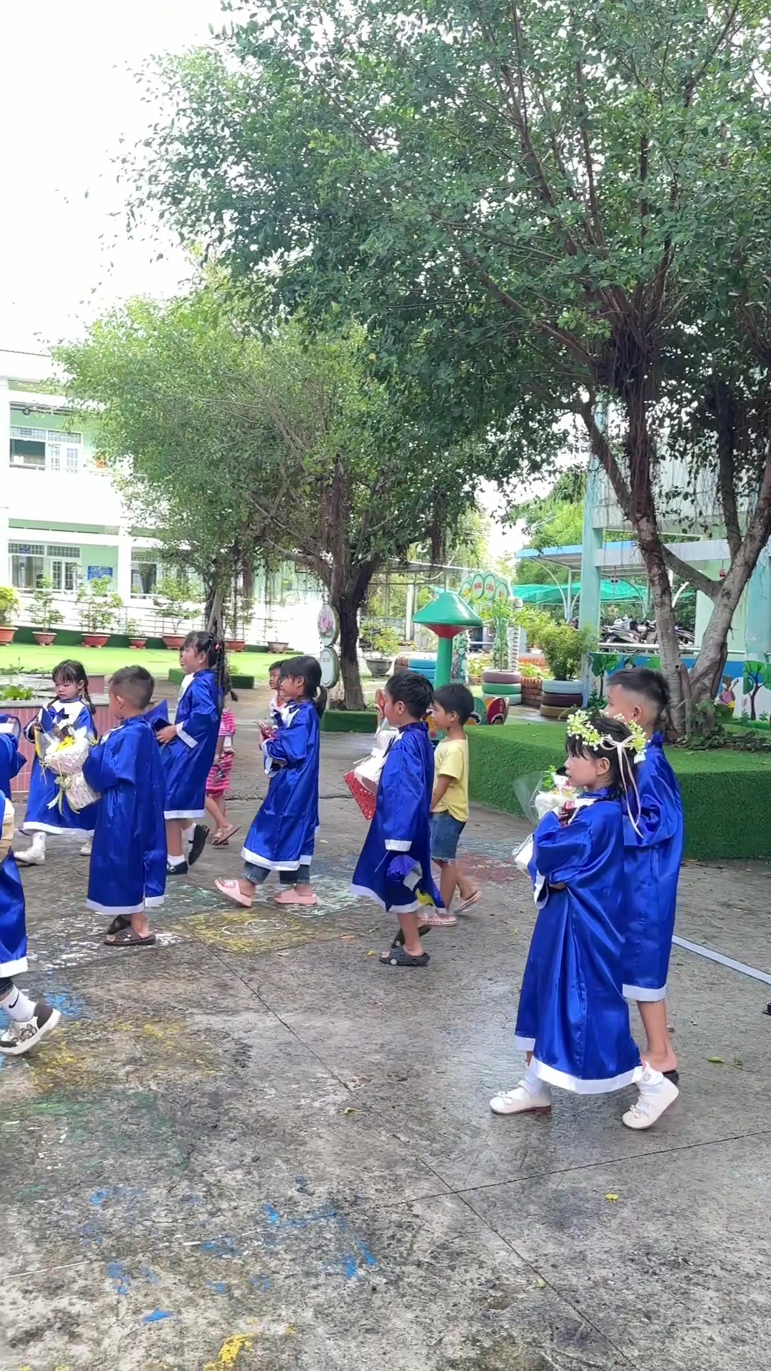 @Thốt nốt trà my