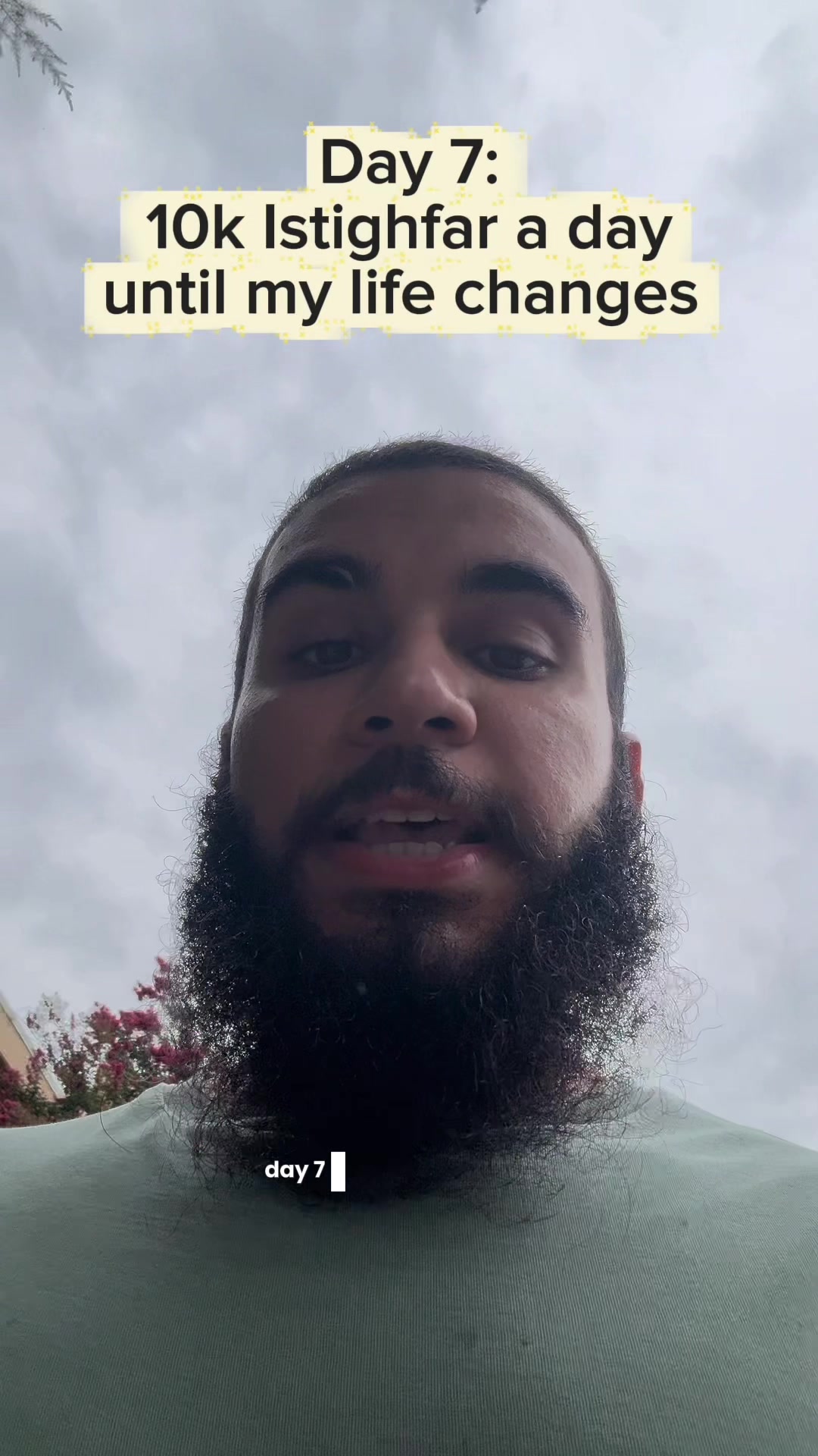 @tazthepali
