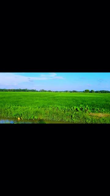@🇳🇵🇳🇵अनिल रौतार💎🦋