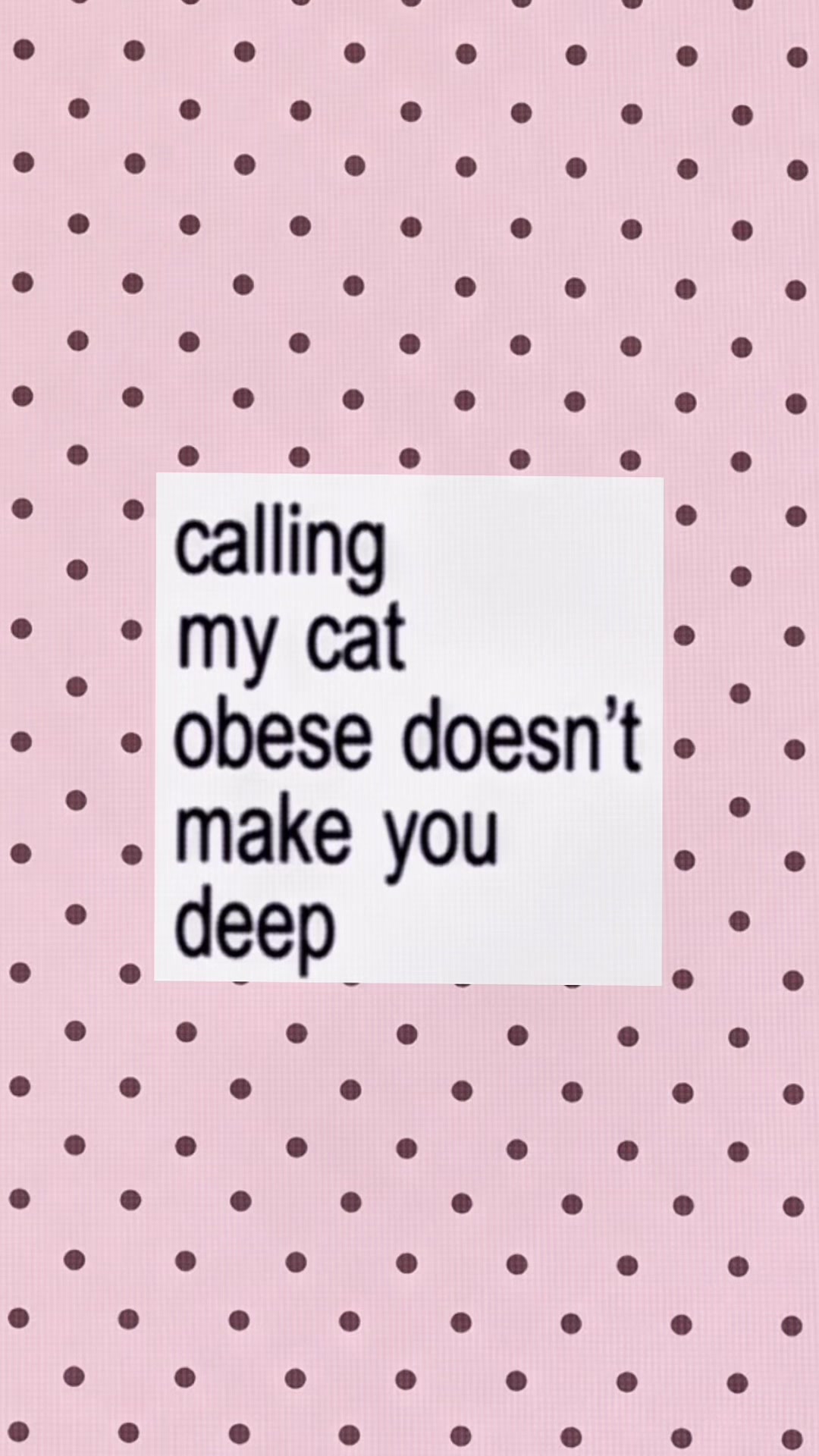 @clari 🧁