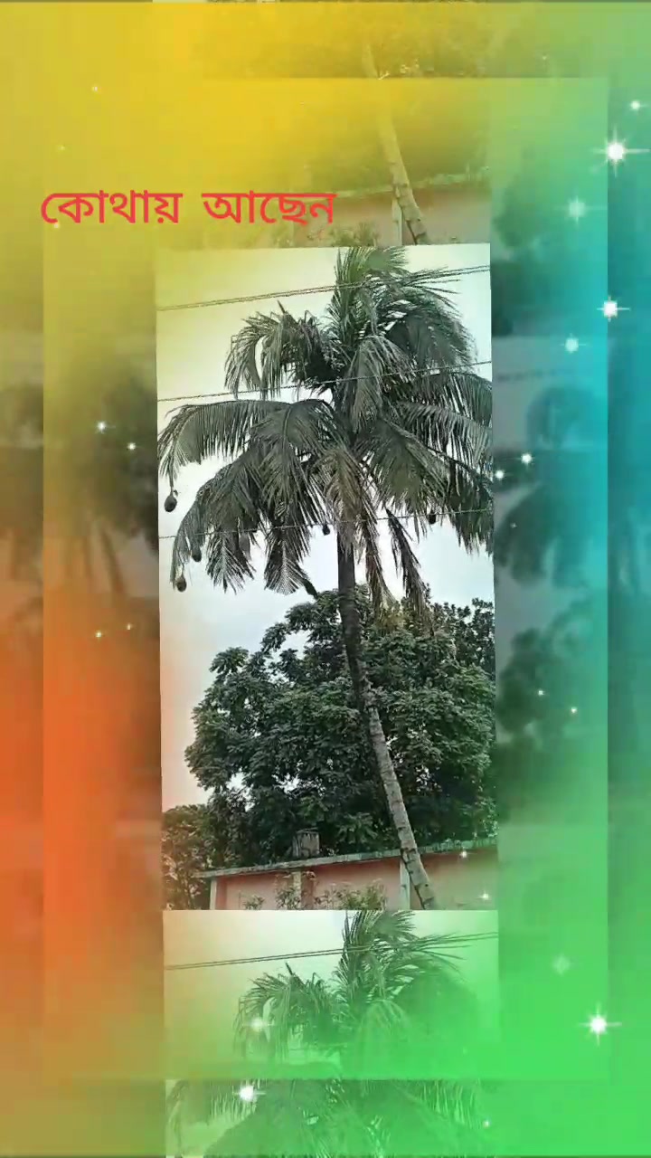 @আমি শুধু চেয়েছি তোমায়