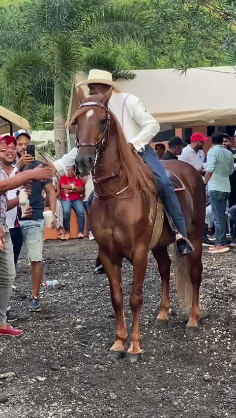 @caballero.R