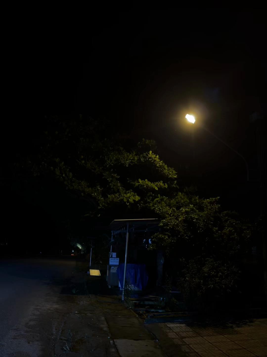 @dinhtrung