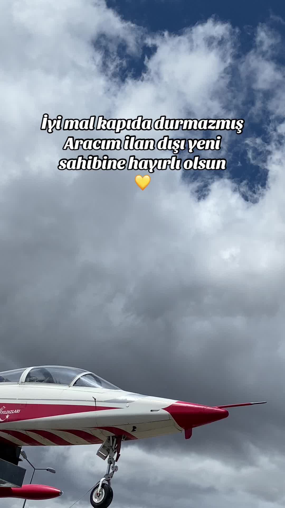 @arslnn46