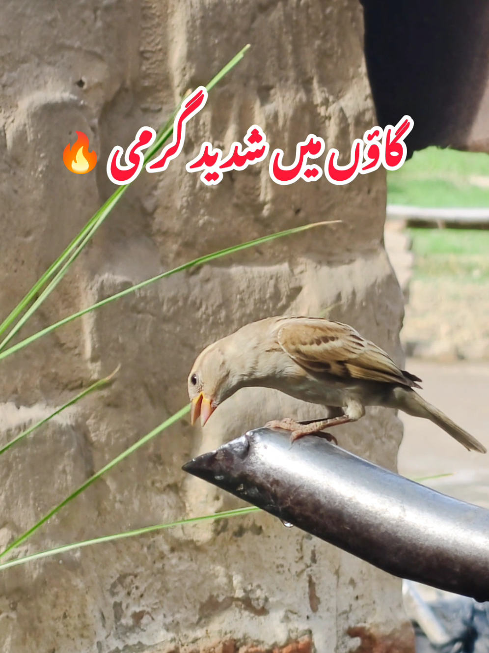 @Karamat Adeel