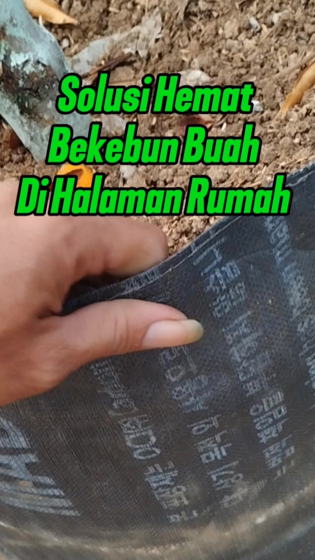 @Bukit Farming