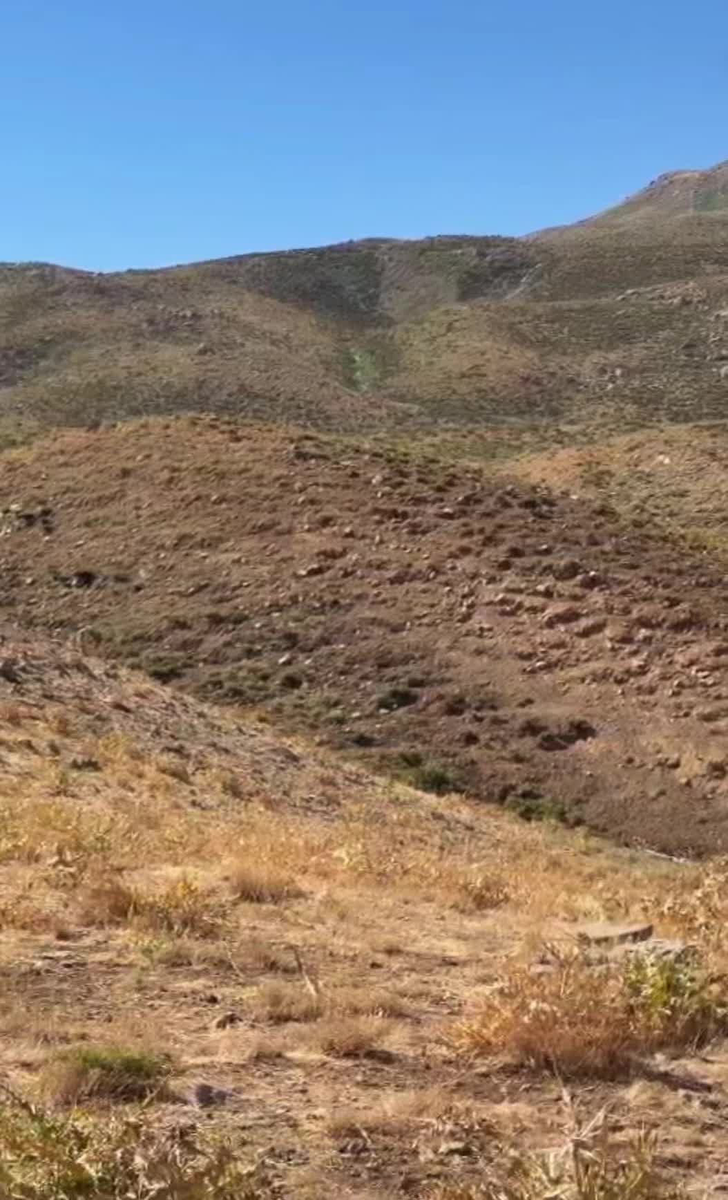 @ŞİYAR ✪