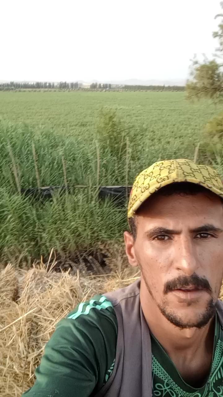 @عبد المجيد هرقوم