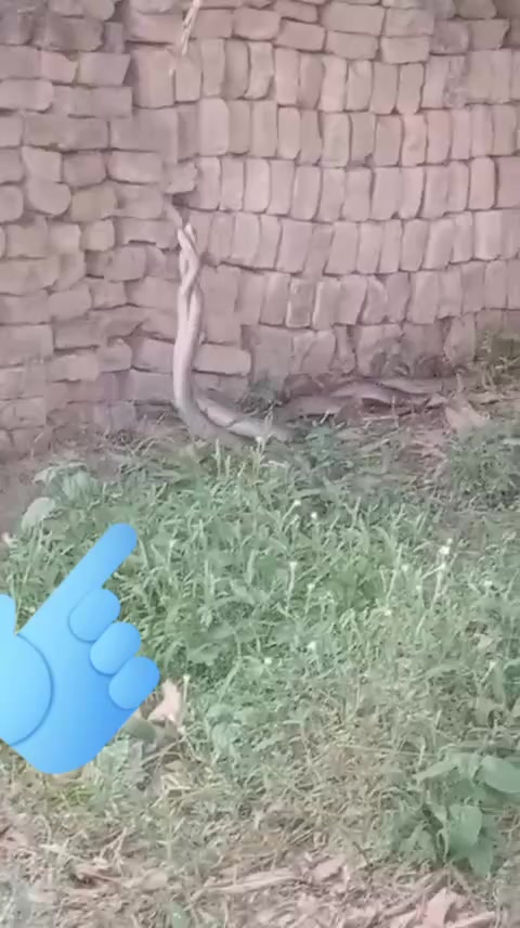 @Aditya Raj