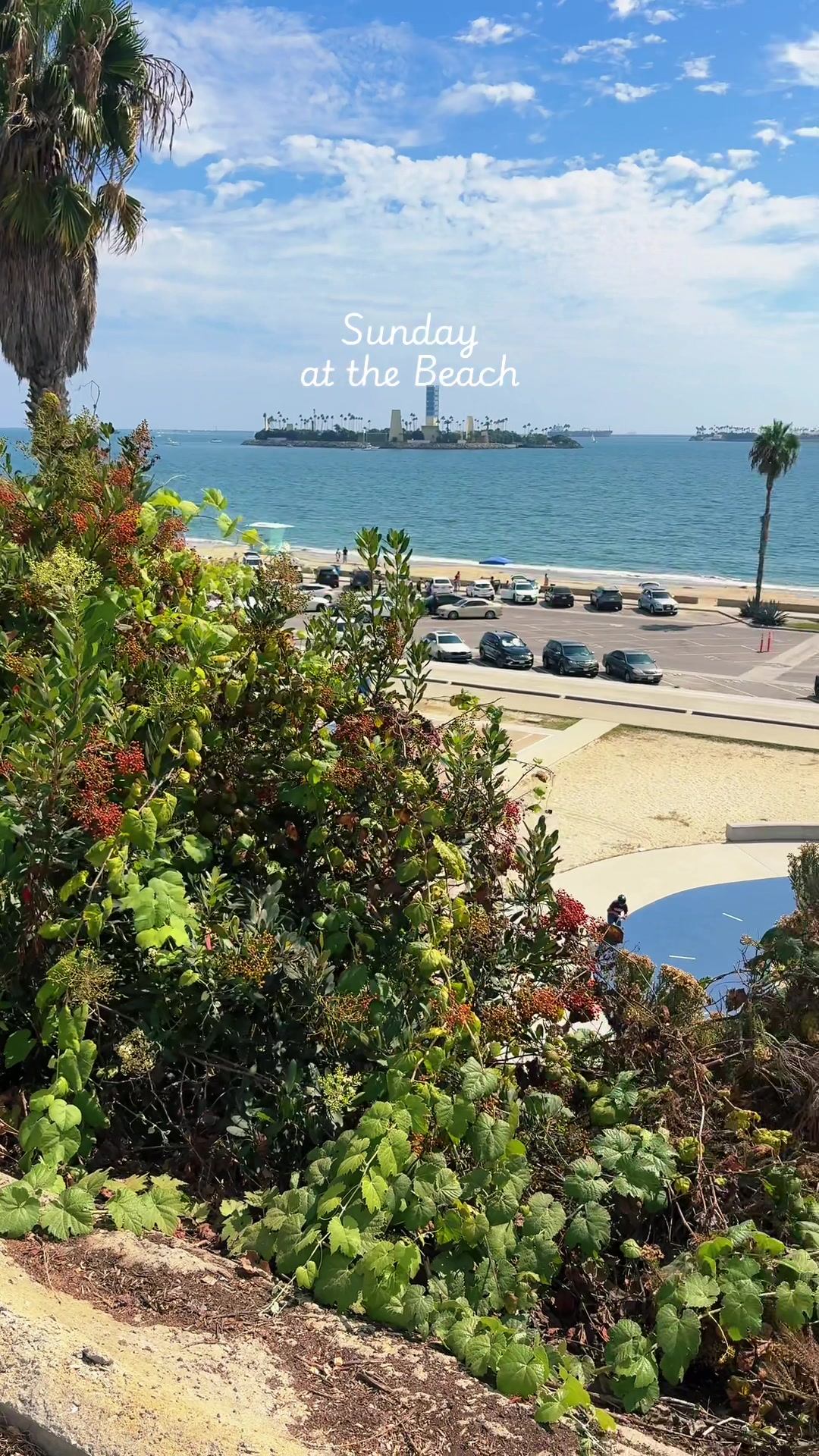 @Hello Long Beach