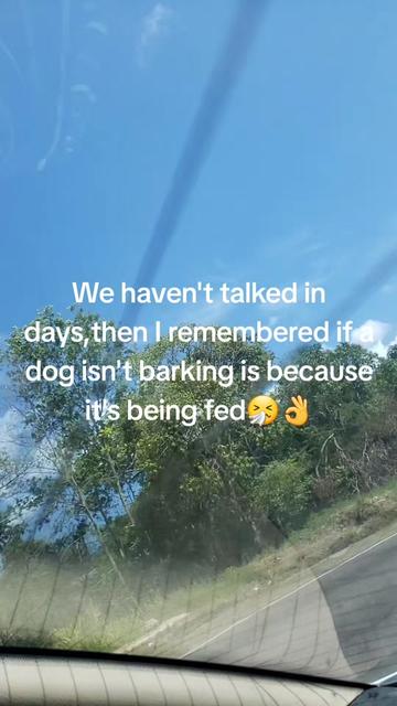 @douglarasta❤💛💚🥰