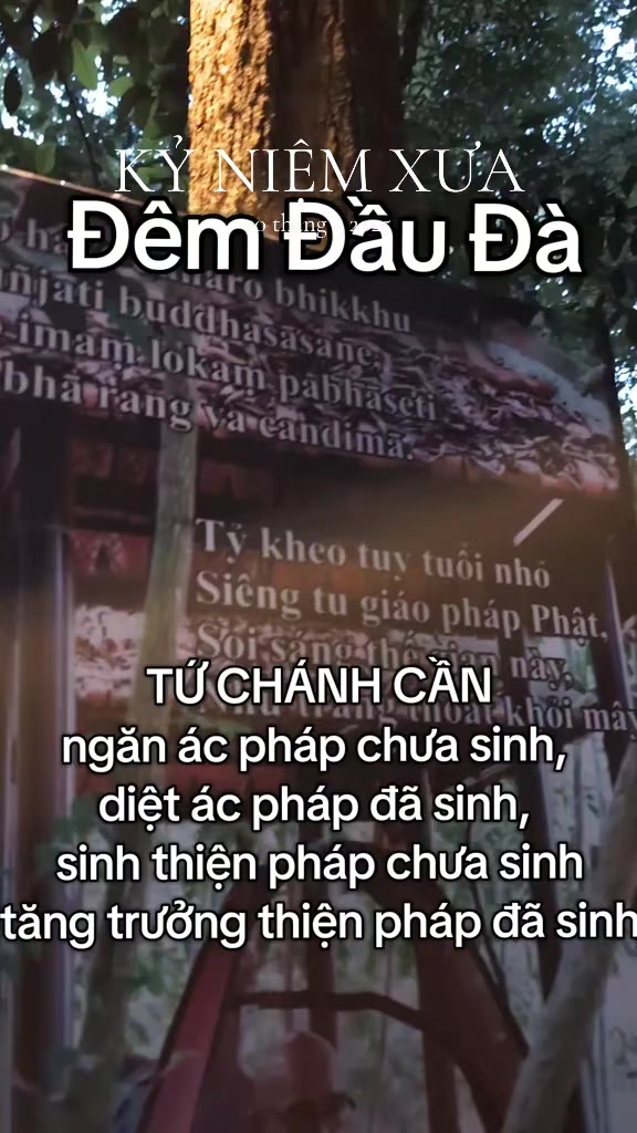 @TK Bảo Ân