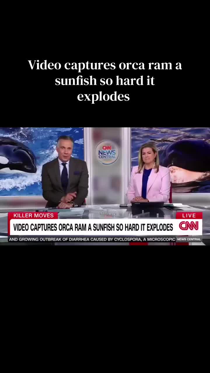 @jimsciutto