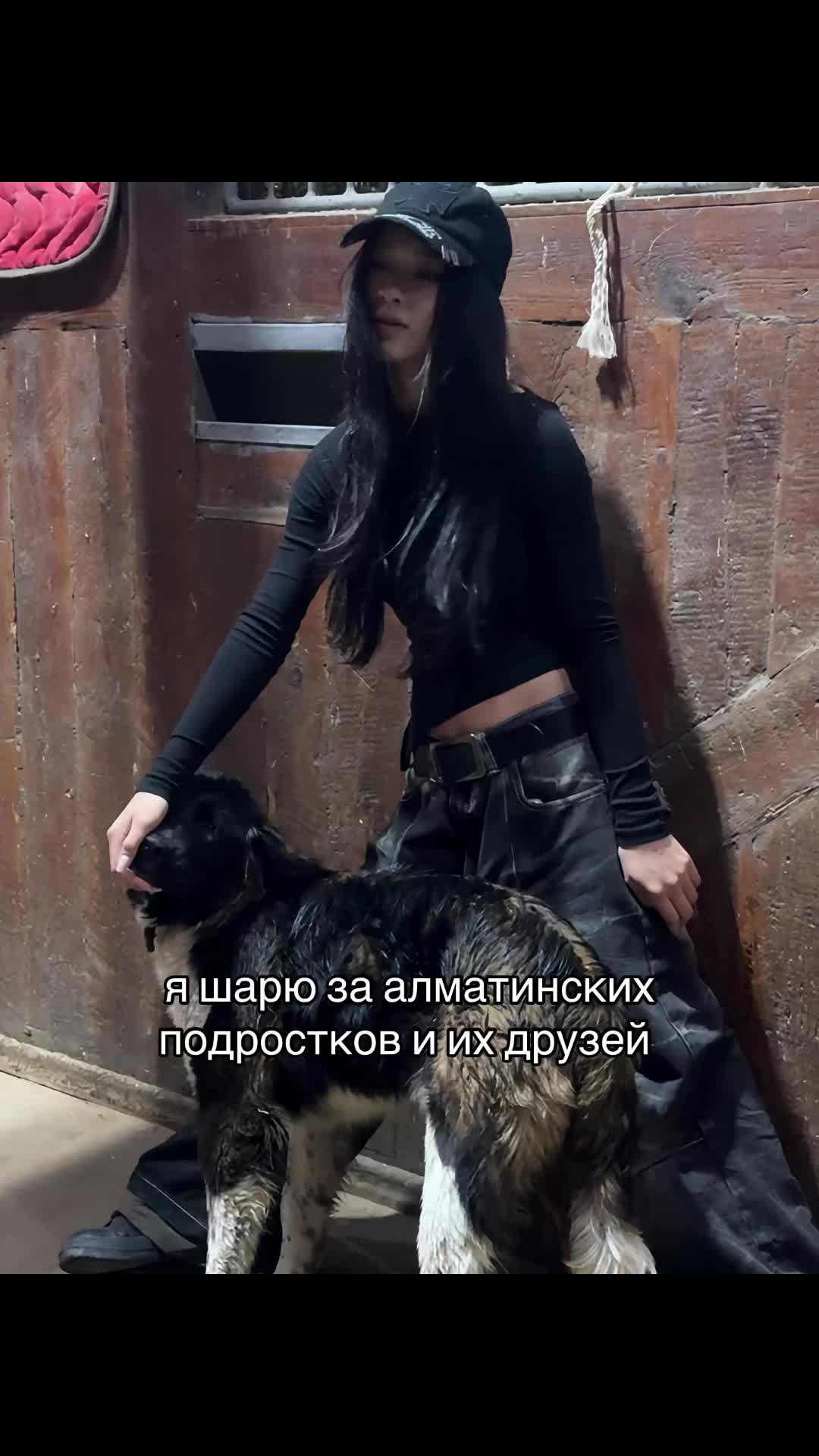 @ཐི 𝙗𝙖𝙝𝙤𝙣𝙞𝙣𝙖 ཋྀ
