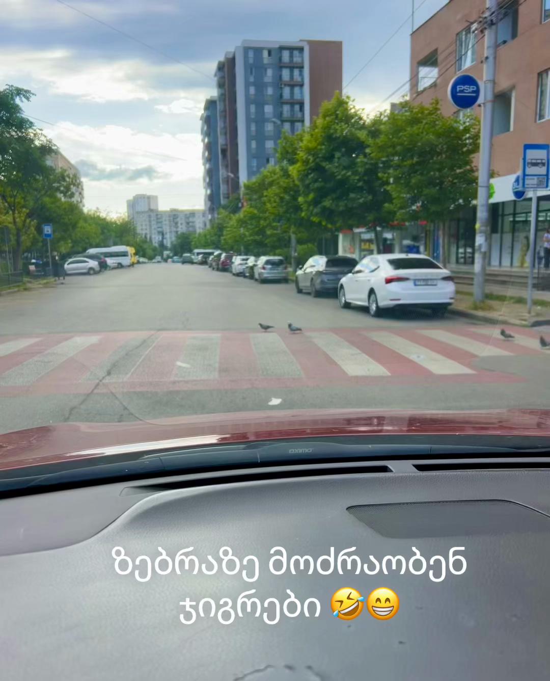 @LeLu