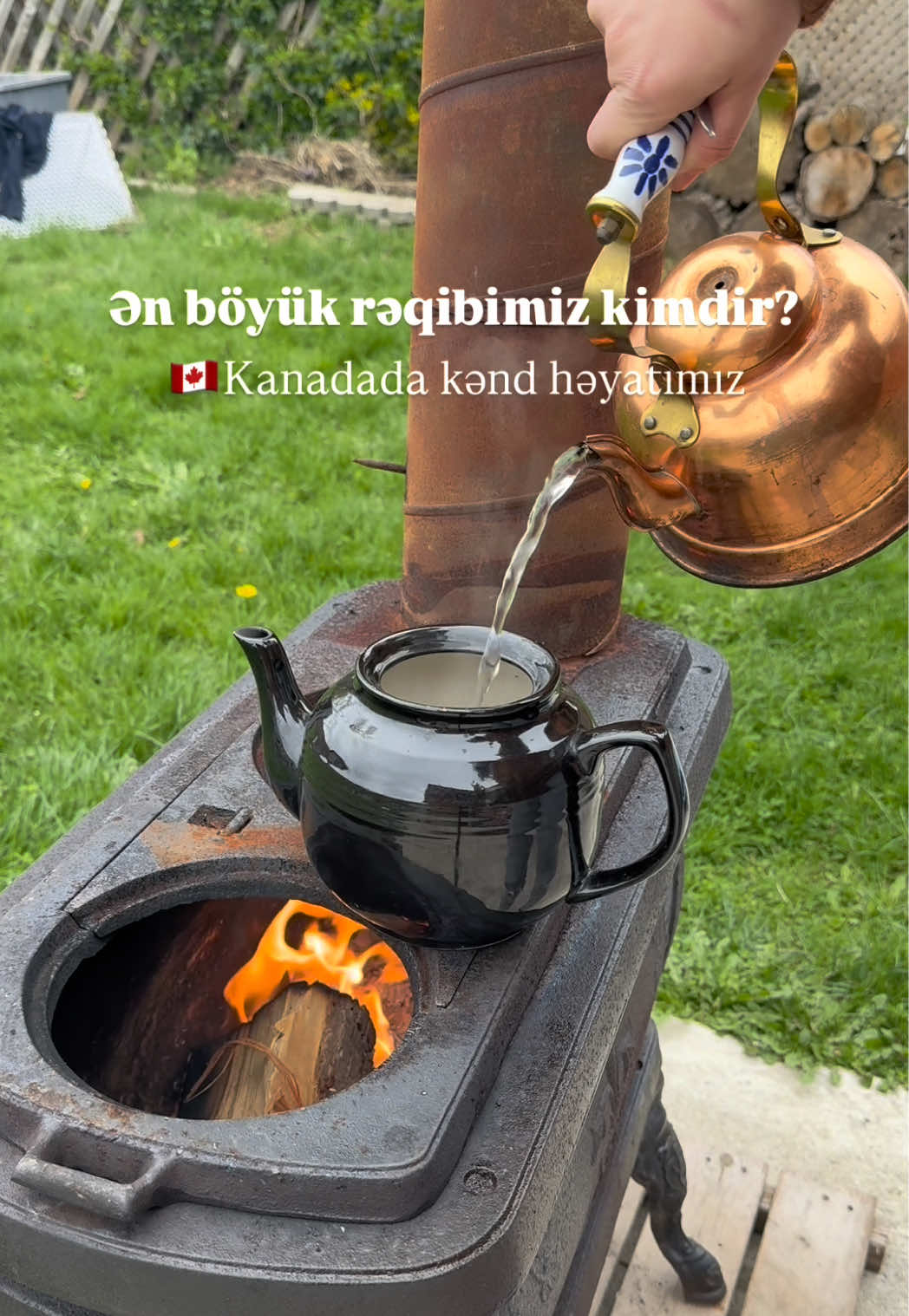 @Rolan Aysel 🇨🇦🇦🇿