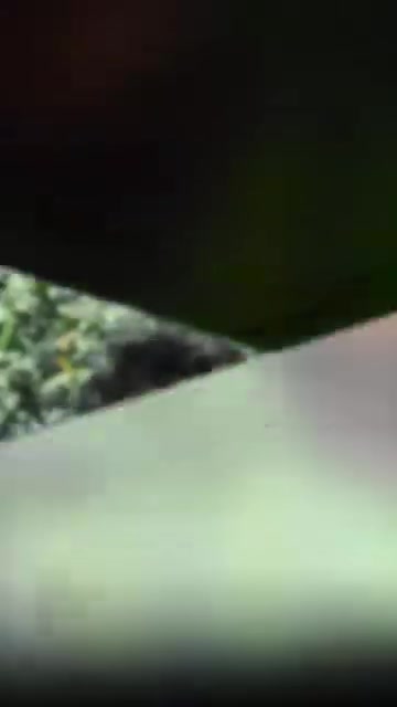 @Ϟ♥️♩𝐒_𝐀_𝐑_𝐎