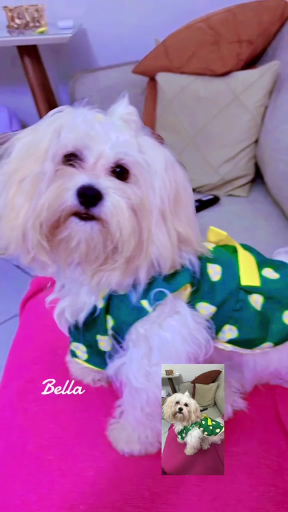 @#Bella#amais#bela.
