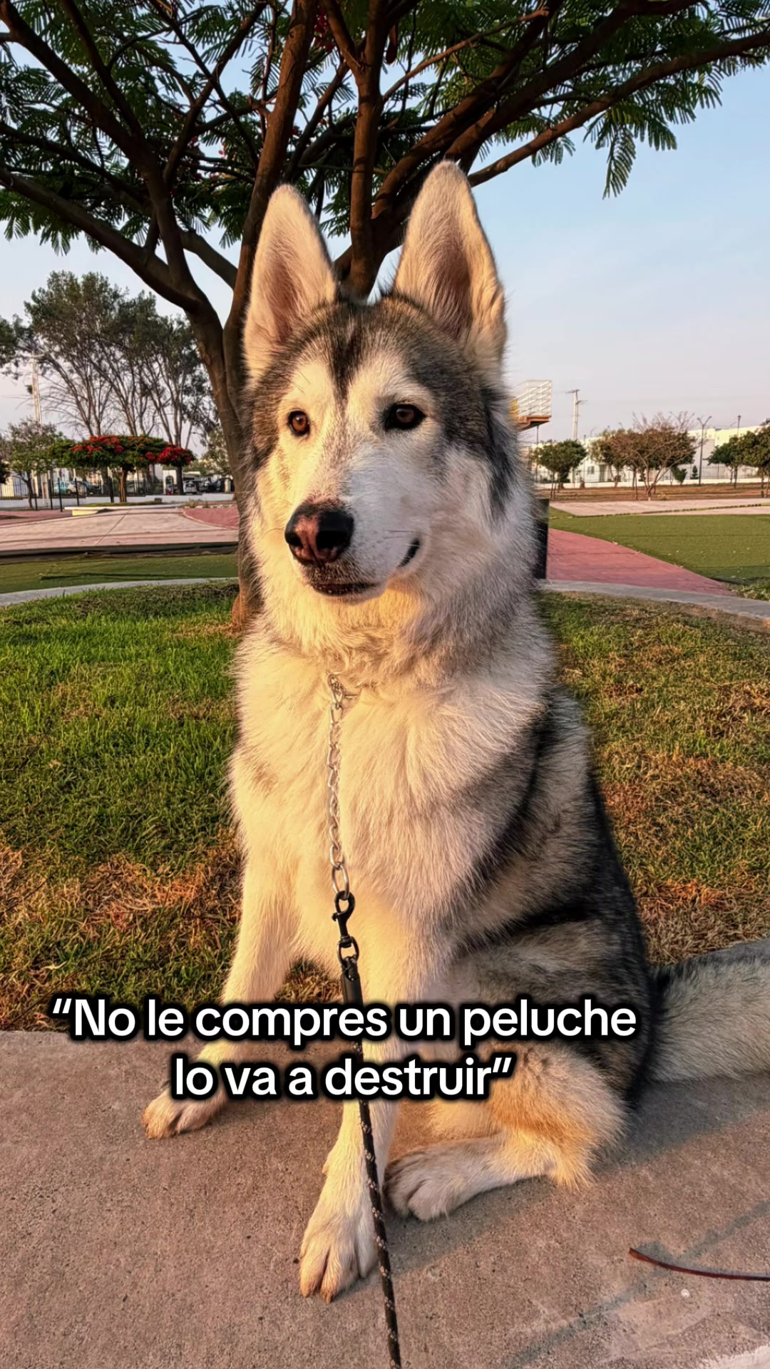 @KZ
