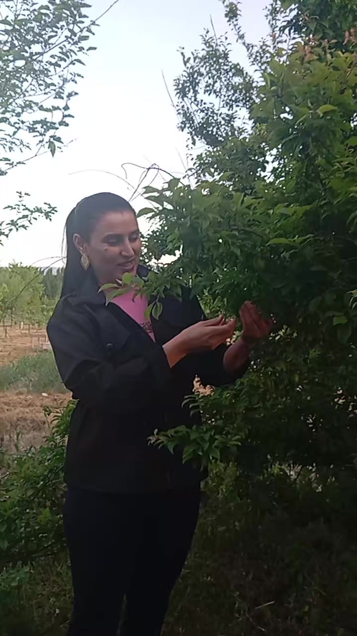@ŞERİFE TüLü @33