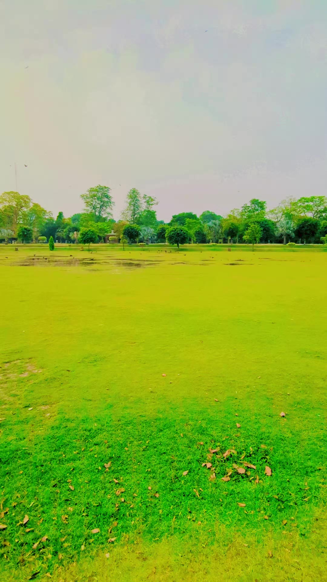 @mian sahib