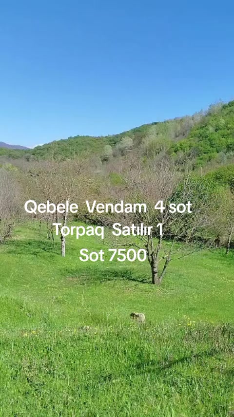 @Qebele Vendam.036