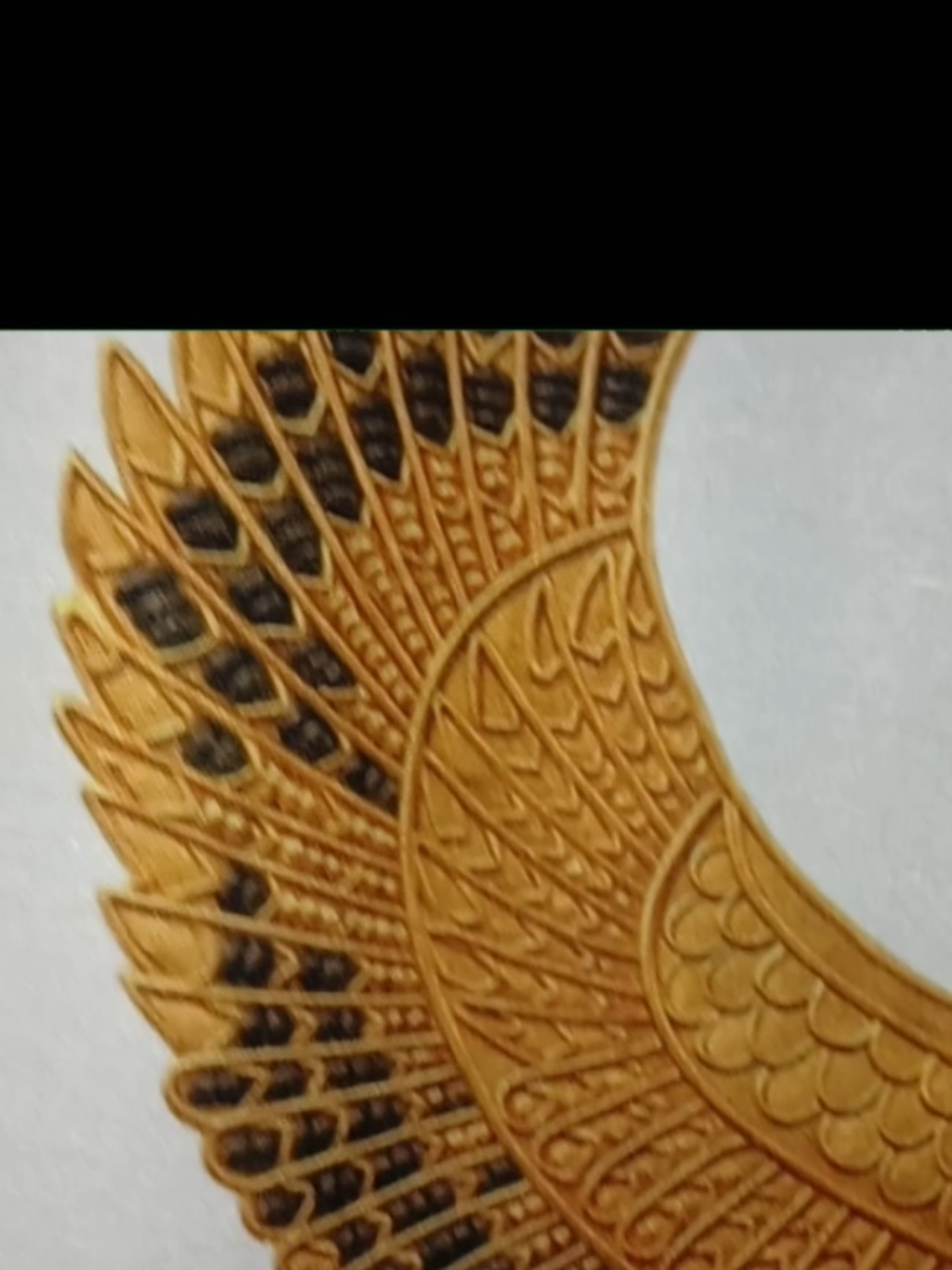@KMT BRAND 𓆎𓅓𓏏𓊖 كمت براند