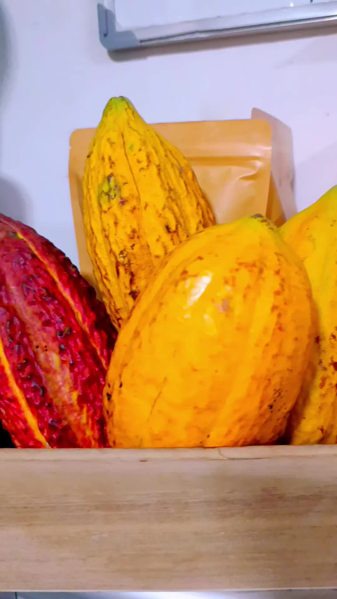 @ddulceyCacao 💚🇨🇴