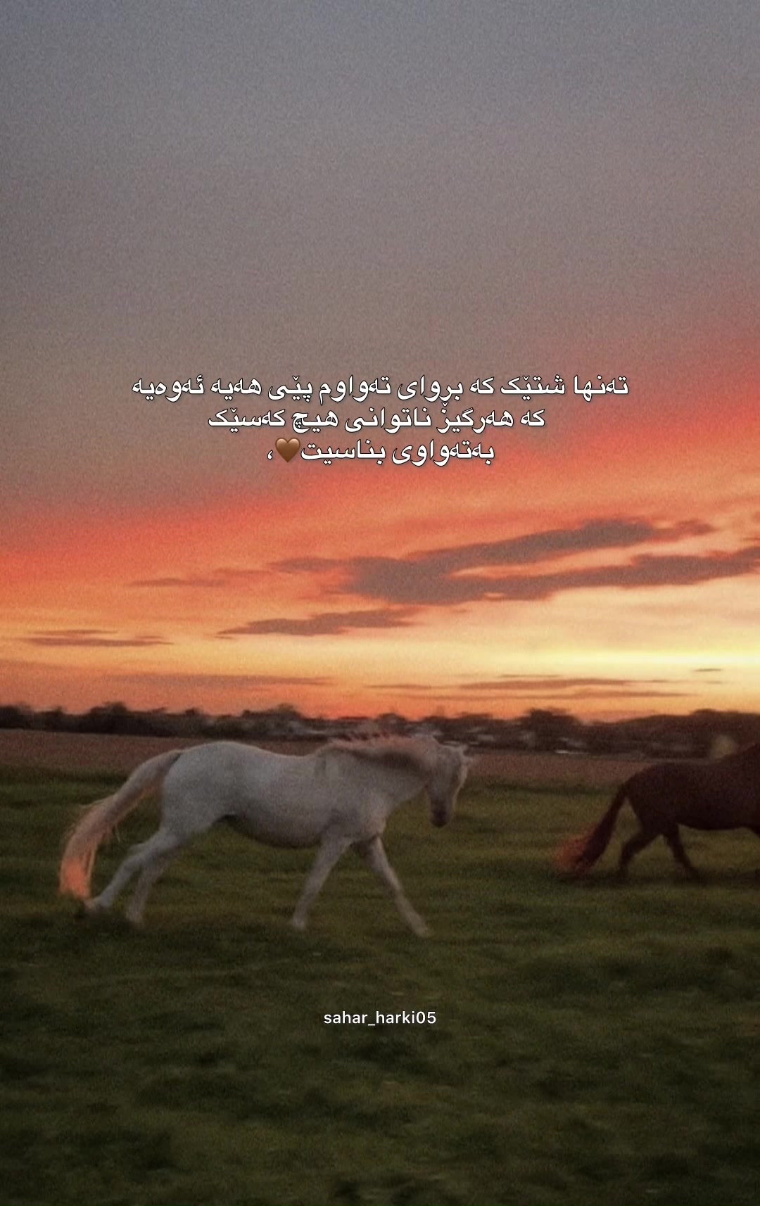 @Sahar