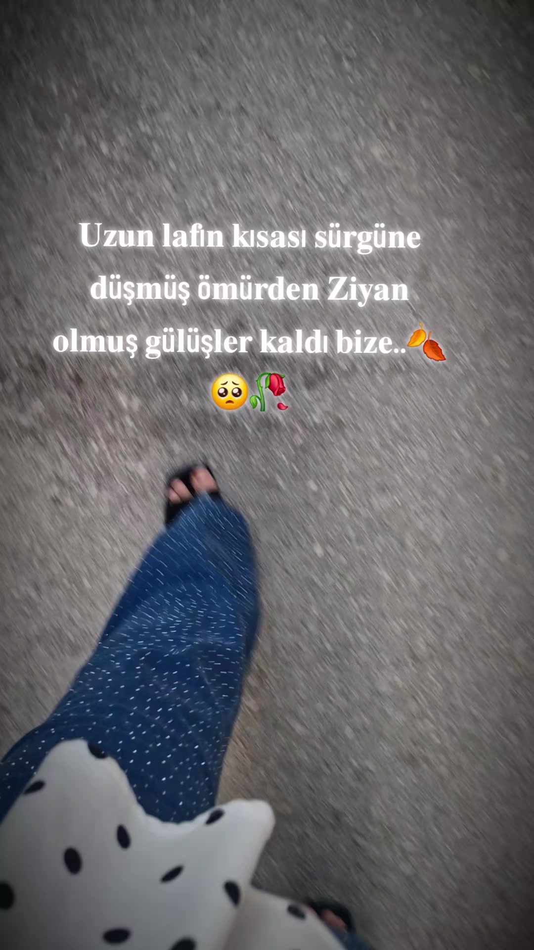 @🌸