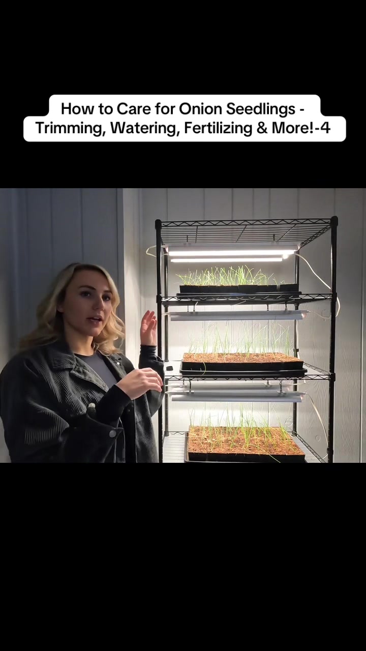@Bellla