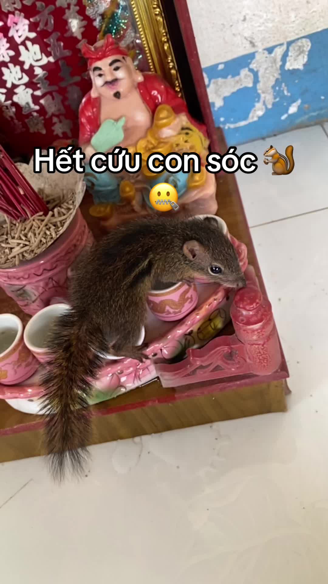 @dangvothanhgiau