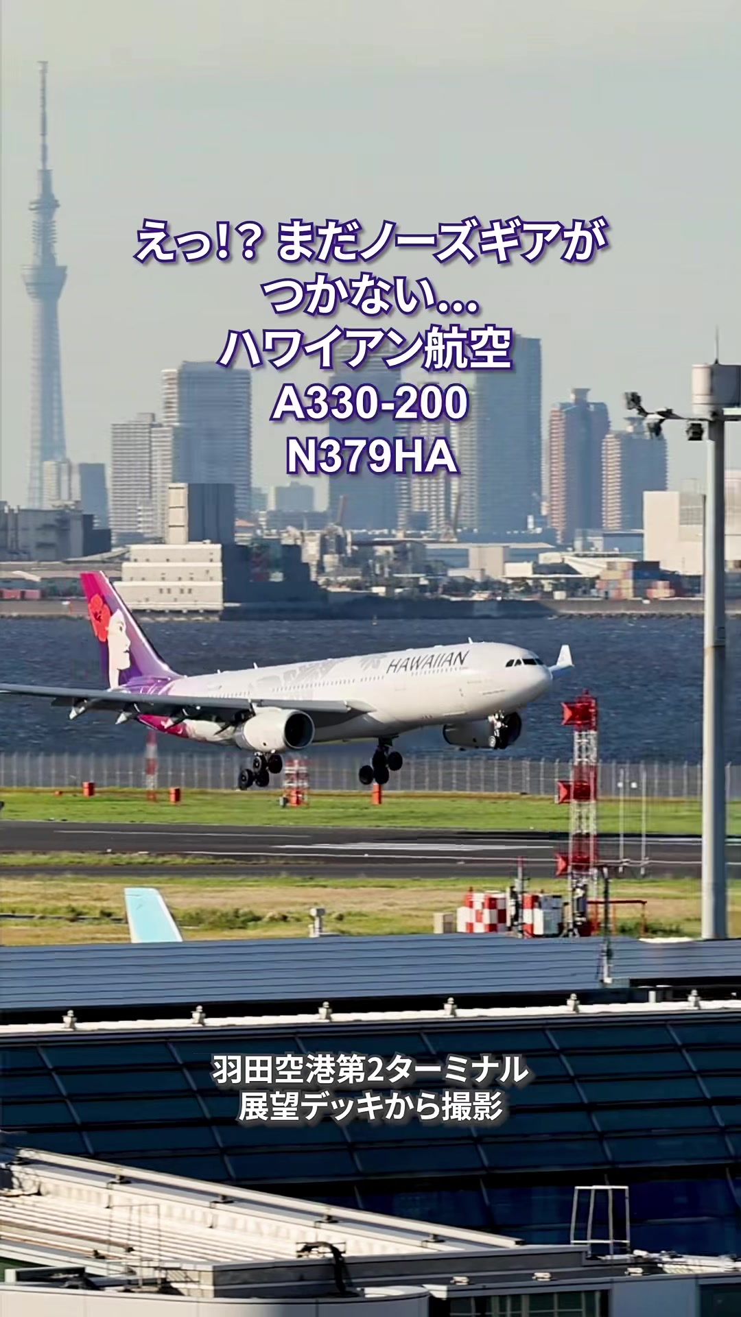 @Skyline だ〜はね|Haneda Airport ✈️