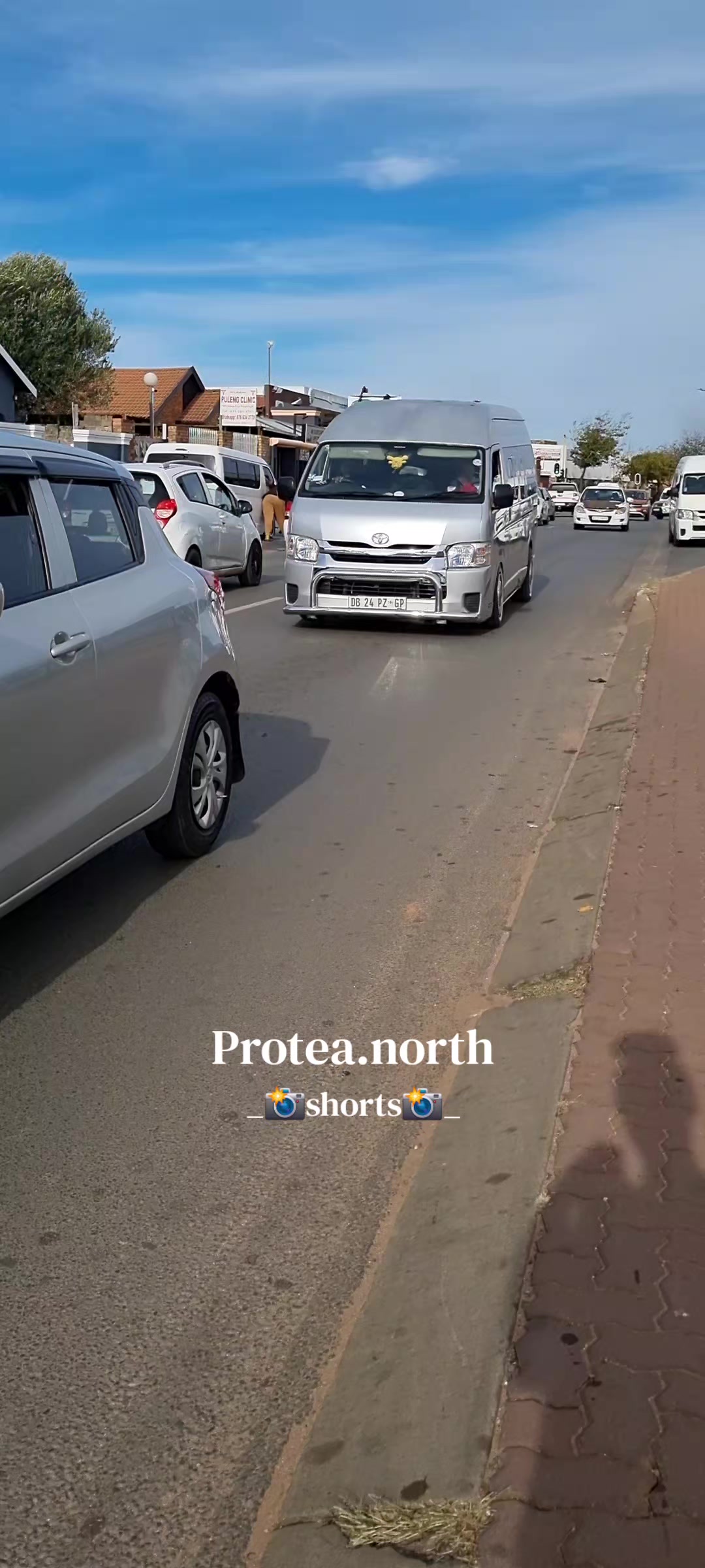 @Protea.north_shorts_