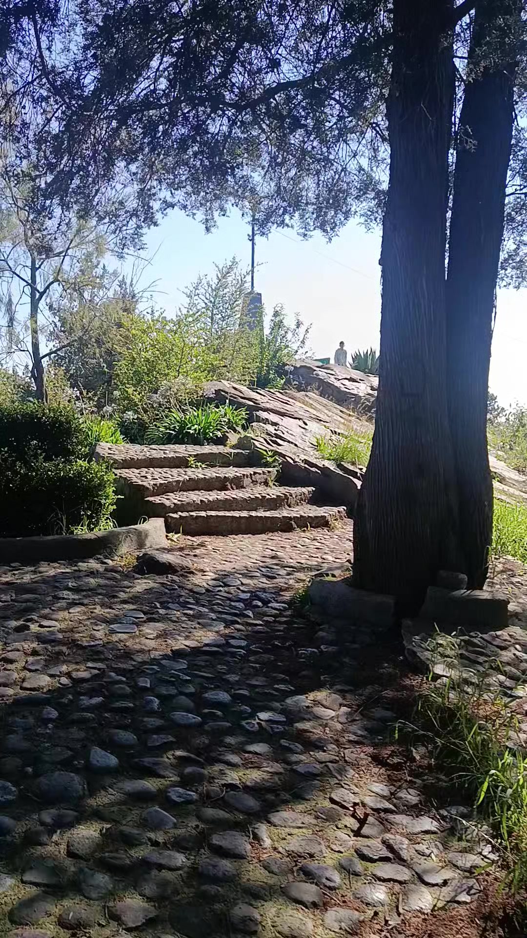 @Don Xavi Seguro te ayuda