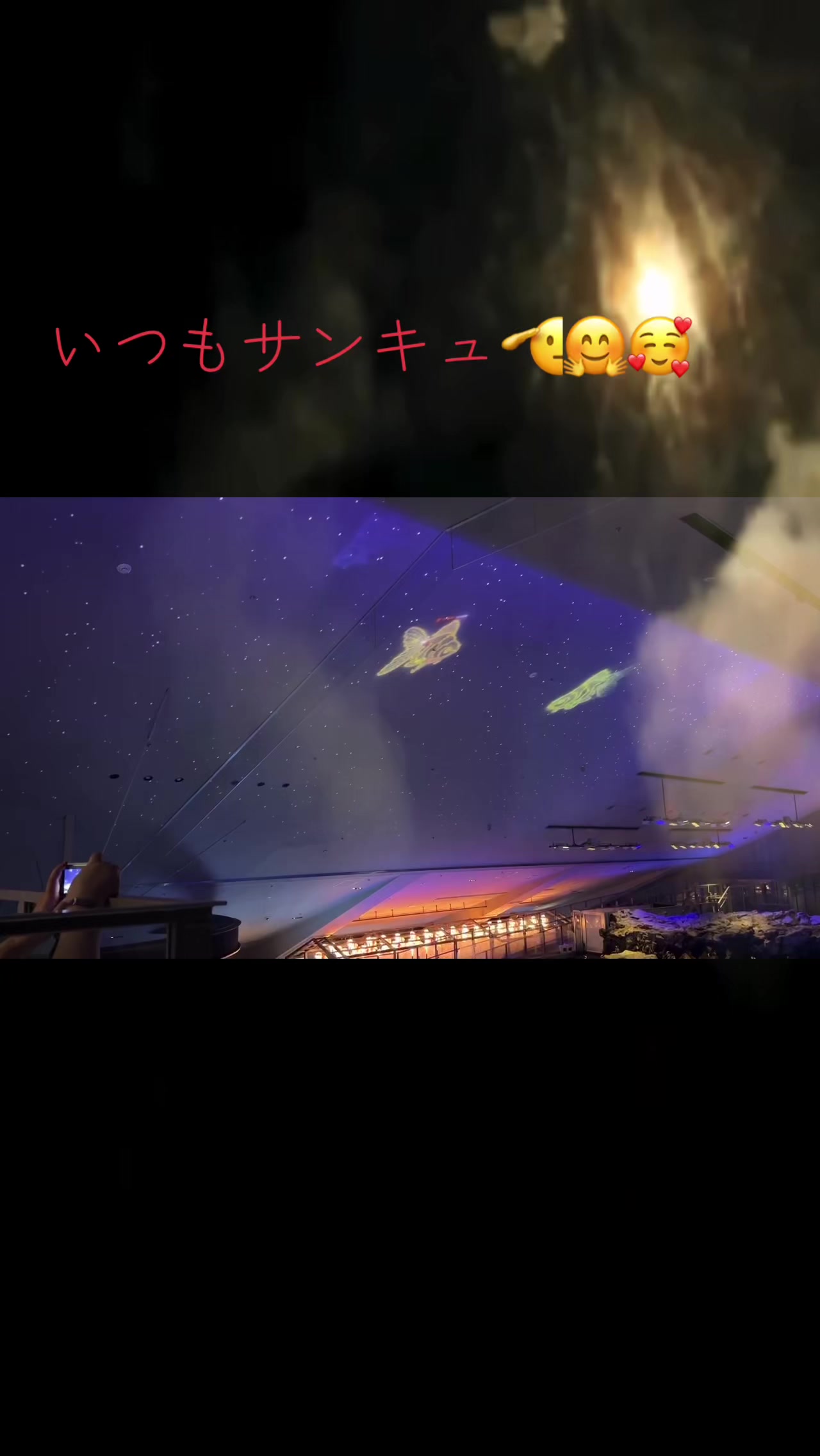 @たまクラ🪼🌙(`・ω・´)ゞ