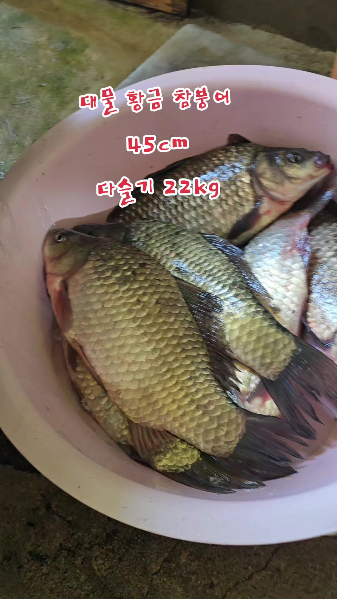 @나는 자연인이다 ~🤪
