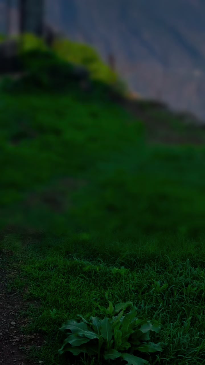 @𝑀𝑂𝐻𝐴𝑀𝑀𝐴𝐷