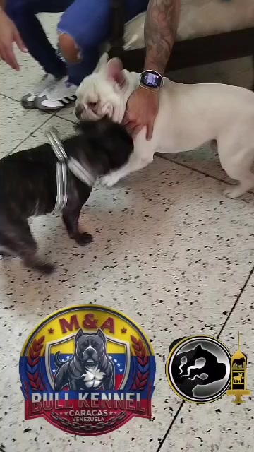 @mia_bulls❤️