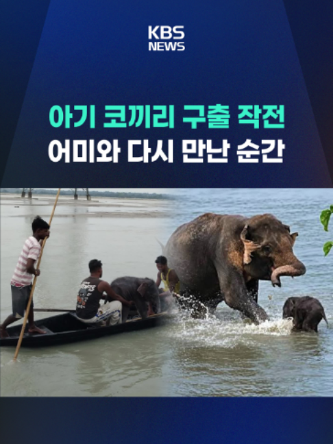 @KBSNEWS