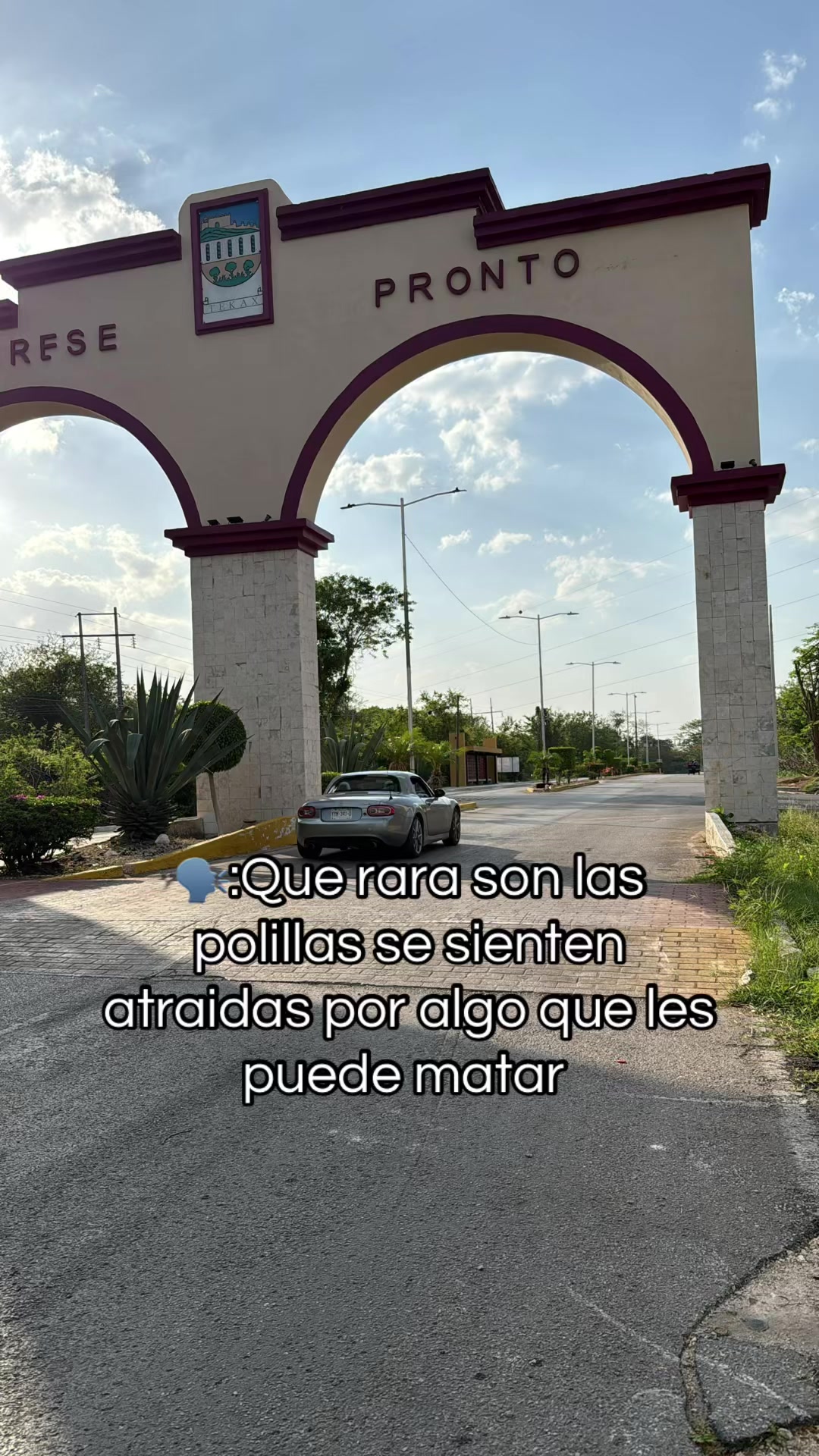 @𝘔𝘢𝘶 𝘋𝘛𝘙𝘹𝘻𝘻