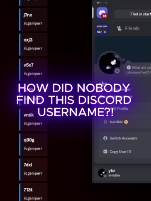 @Ogsnipers